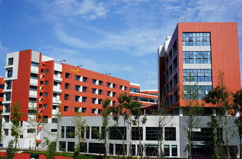 水泥纖維板氟碳漆保溫一體板 技術(shù)開發(fā)與四川生產(chǎn)廠家的行業(yè)領(lǐng)先實踐