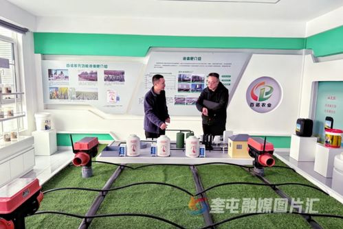 奎屯-獨山子經(jīng)濟技術(shù)開發(fā)區(qū) 政企銀聯(lián)動強鏈補短，技術(shù)開發(fā)提速園區(qū)高質(zhì)量發(fā)展